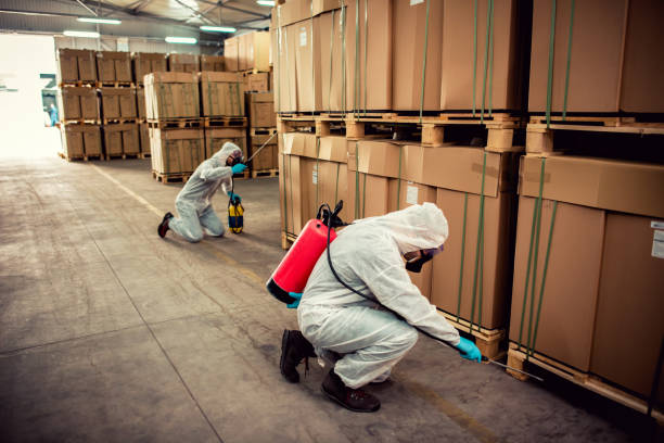 Best Commercial Pest Control Services  in Little Falls, MN