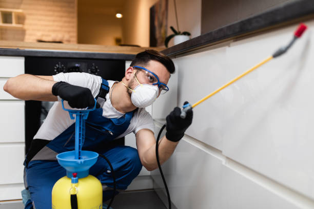 Best Best Pest Control Companies  in Little Falls, MN