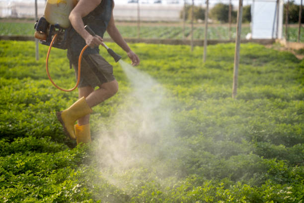 Reliable Little Falls, MN Pest Control Solutions