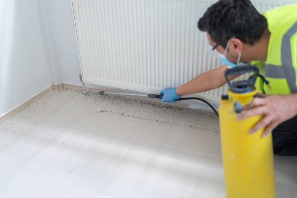 Reliable Little Falls, MN Pest Control Solutions